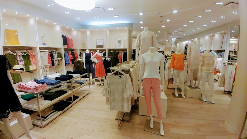 Ann Taylor