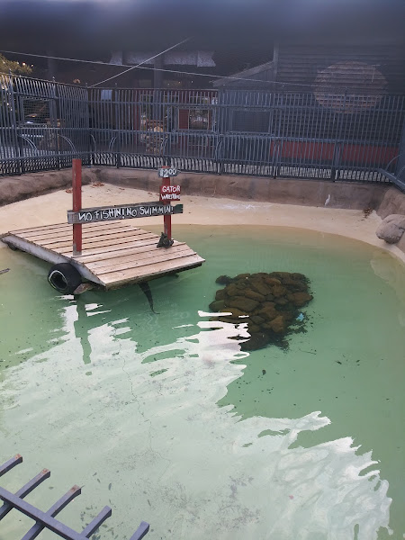 Uncle Buck's Alligator Bayou