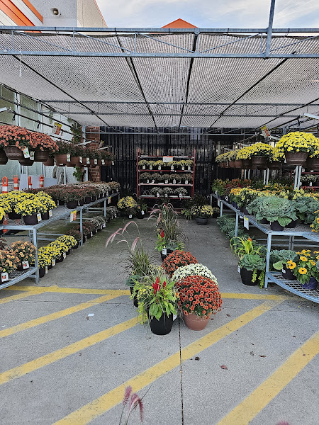 The Home Depot