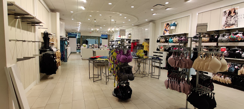 Lane Bryant