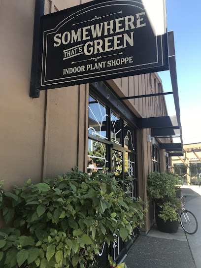 Somewhere That's Green Indoor Plant Shoppe