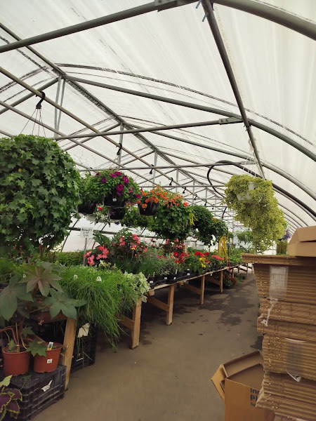 Clement Farms