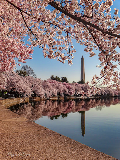 Tidal Basin