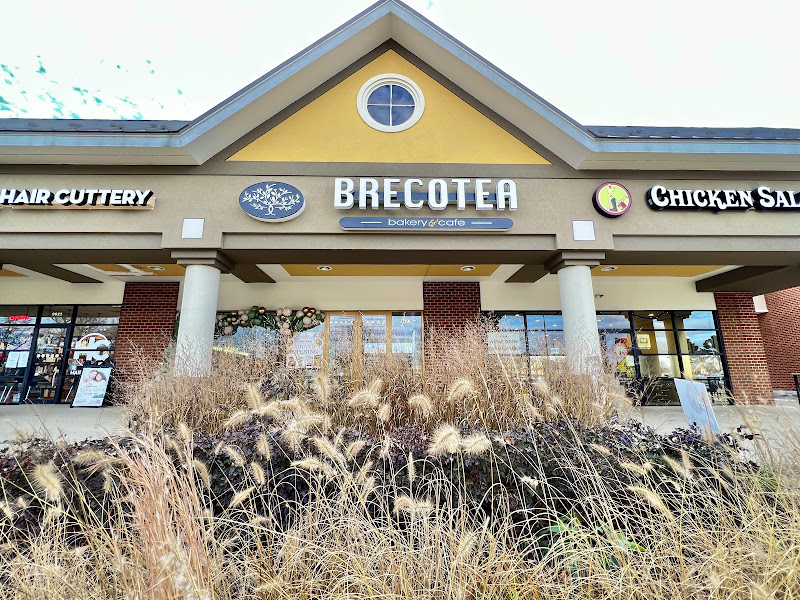 Brecotea