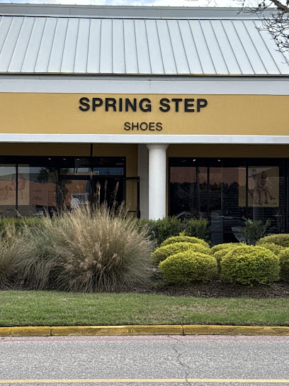 Spring Step Shoes