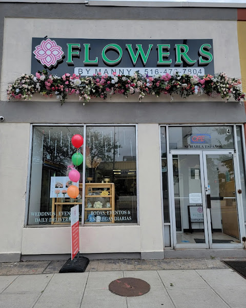 Flowers by Manny