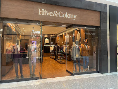 Hive & Colony