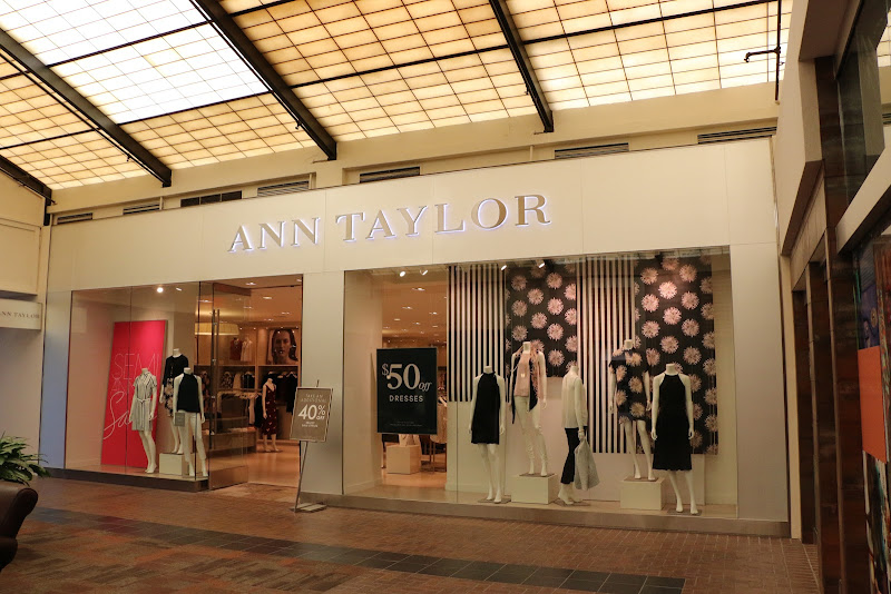 Ann Taylor
