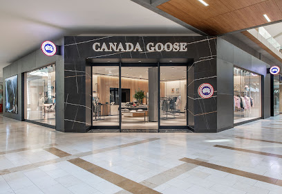 Canada Goose