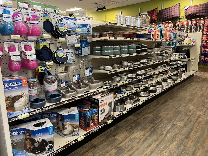 Pet Food 'N More