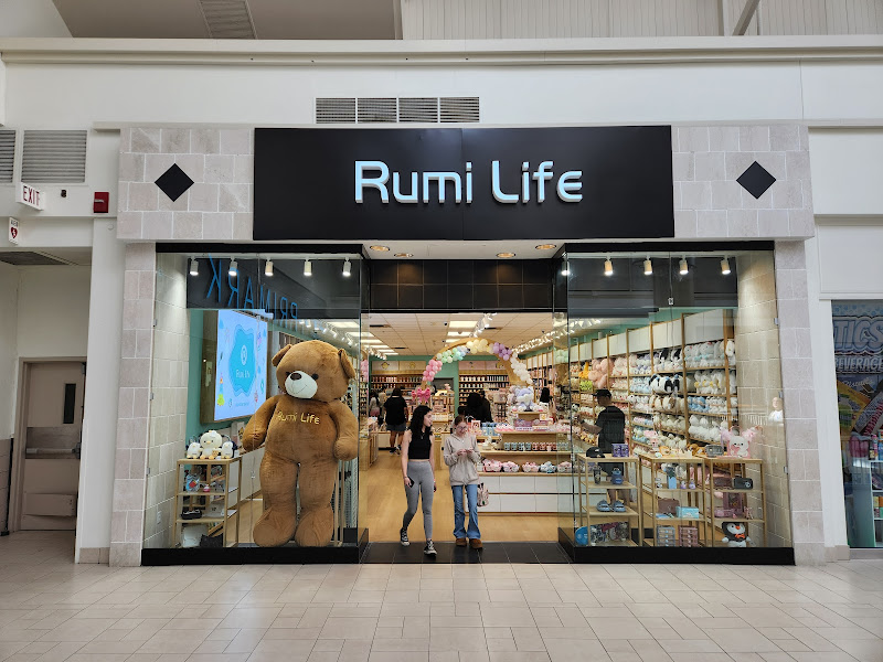 Rumi life