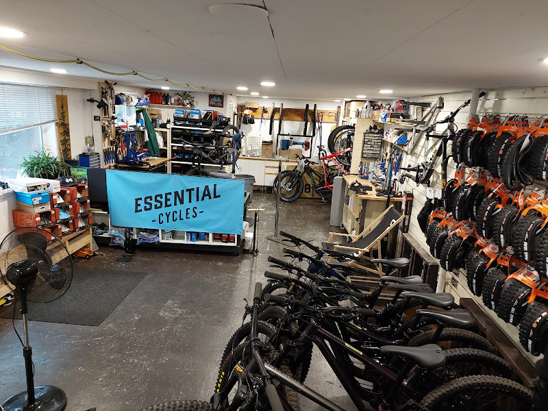 Essential Cycles