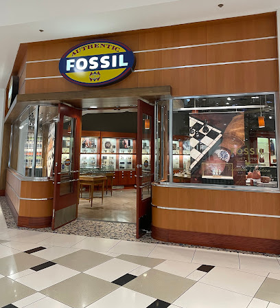 Fossil Store