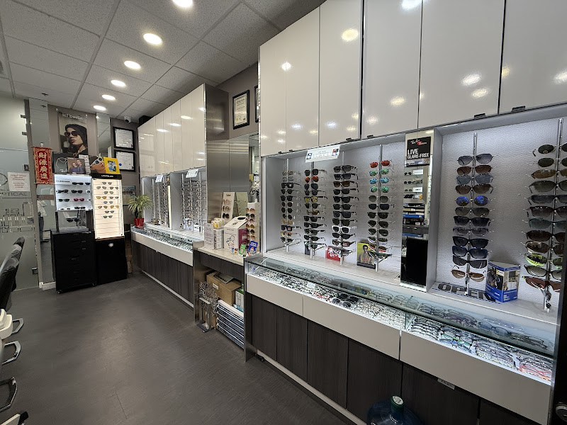 City Wear Optical