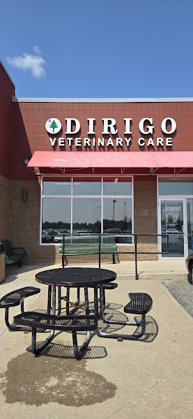 Dirigo Veterinary Care