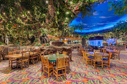 Rainforest Cafe