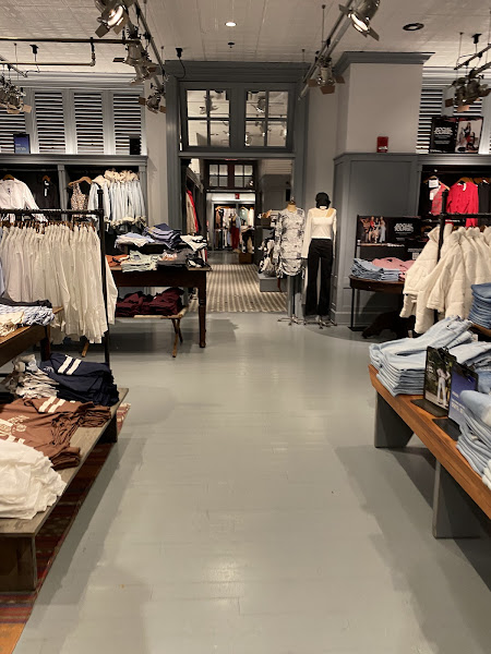 Hollister Co.