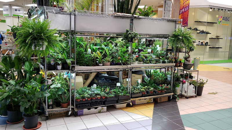 E&E Trading Co. (Florist and Gifts)