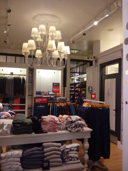 Hollister Co.