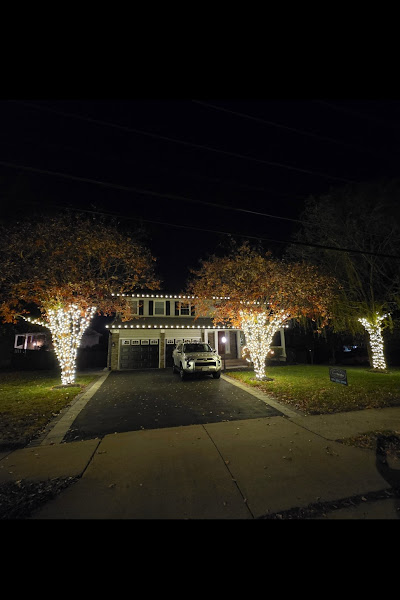 EverBright Christmas Lights