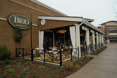 Brio