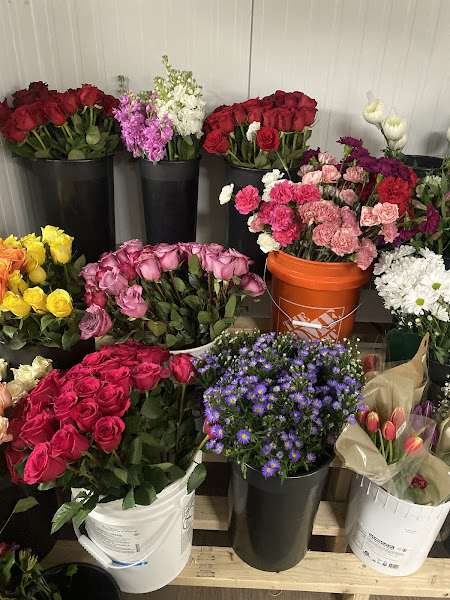 Bloom Fields Floral
