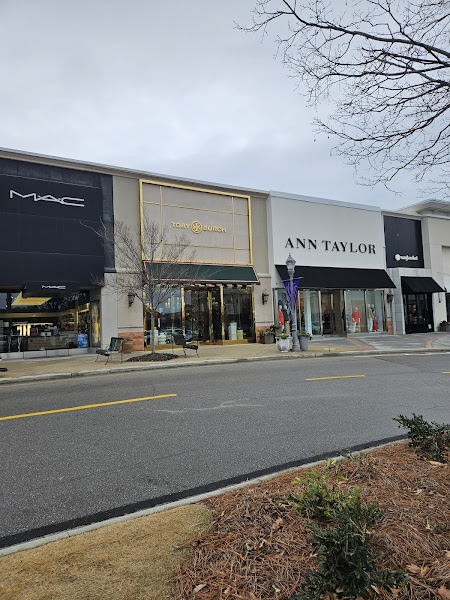 Ann Taylor