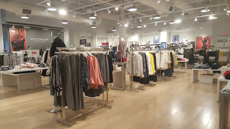 Ann Taylor