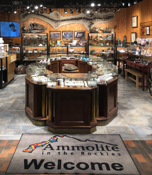 Ammolite in the Rockies
