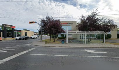 Capri Electronique Inc.