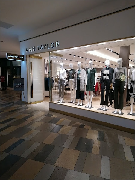 Ann Taylor