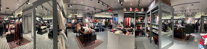 Hollister Co.