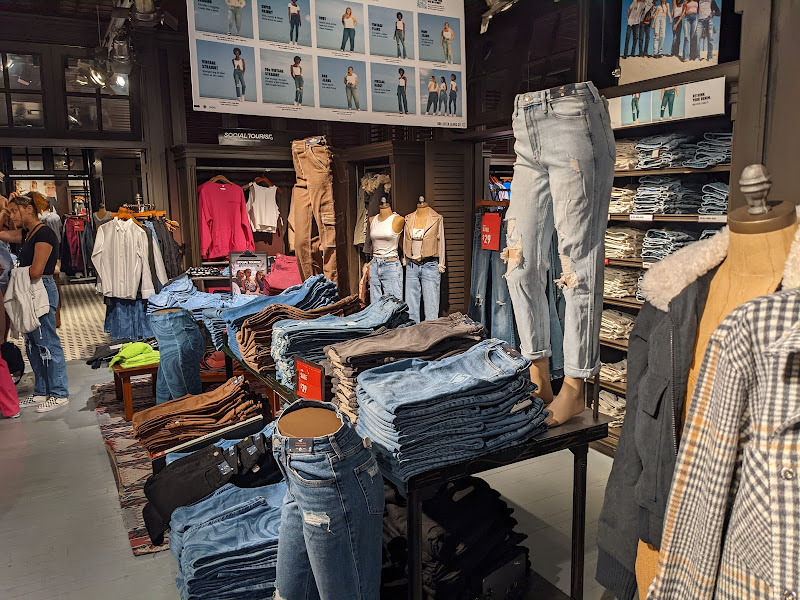 Hollister Co.