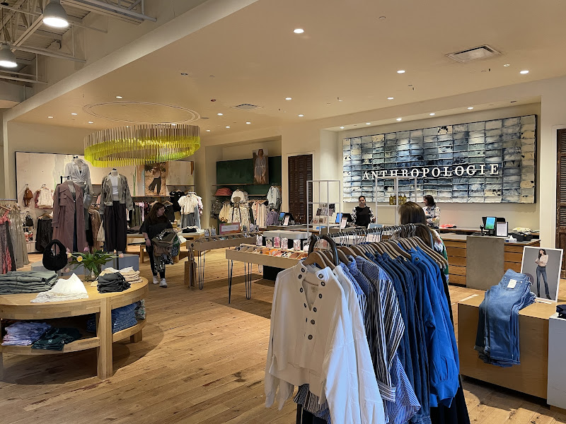 Anthropologie