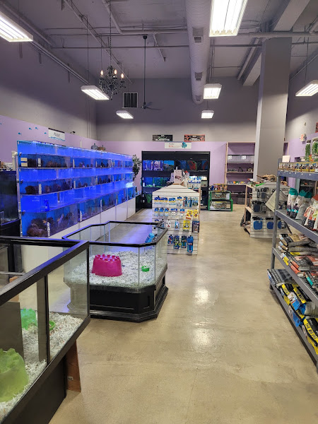 Pet Palace