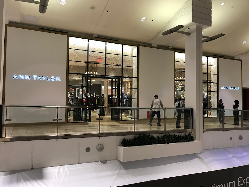 Ann Taylor