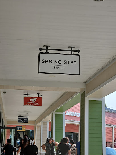 Spring Step Shoes