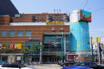 Dragon City CD Store