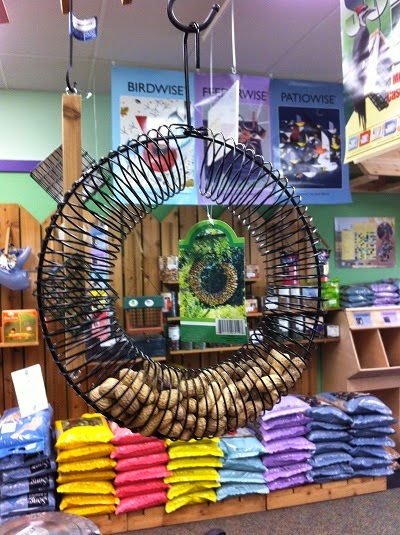 Outdoor Bird Supplies