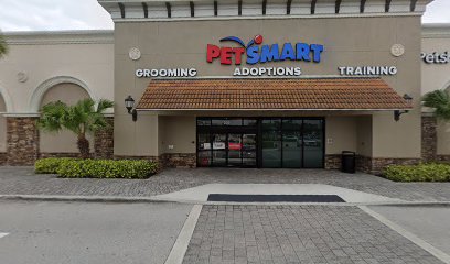 PetSmart Dog Training
