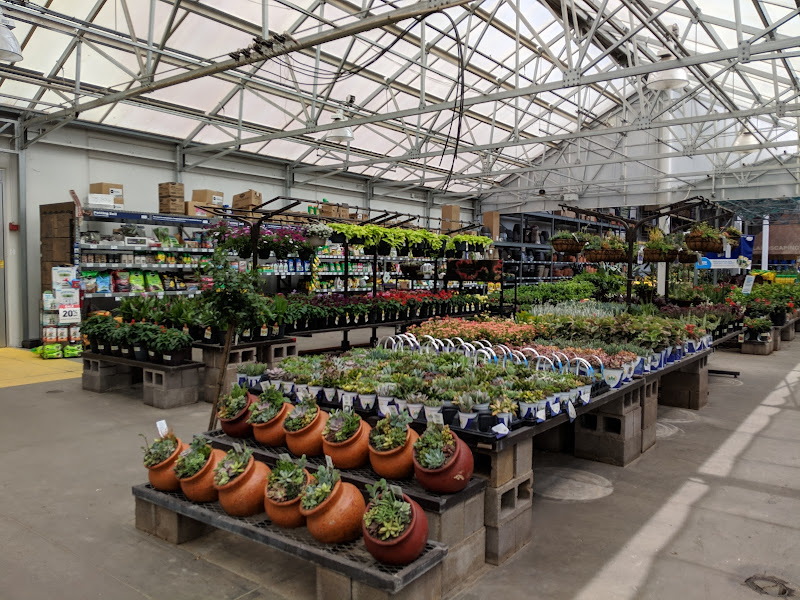 Lowe's