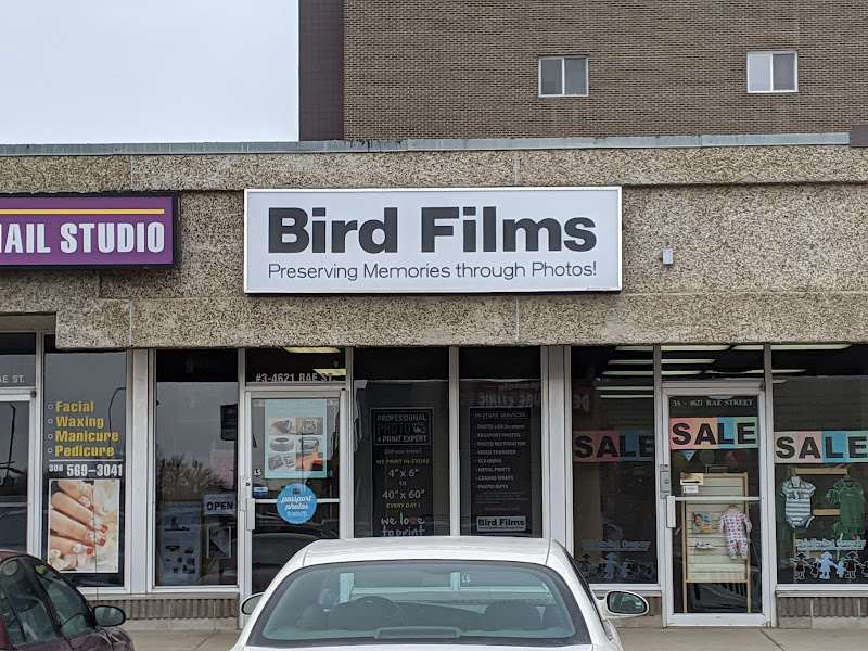 Bird Films foto source