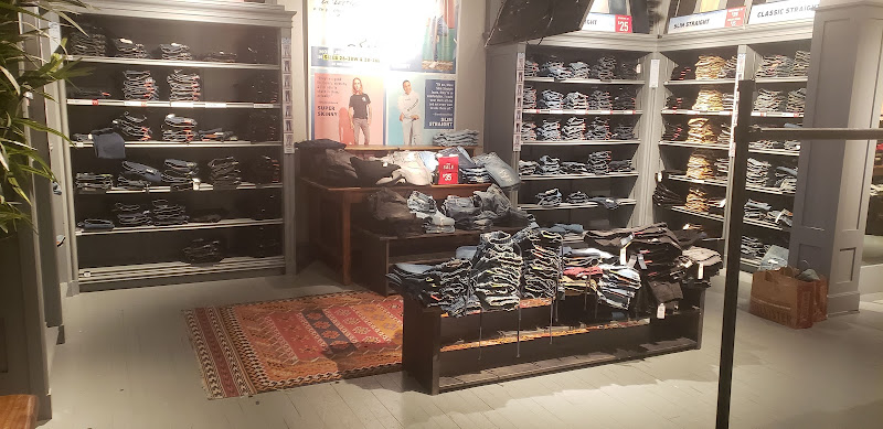 Hollister Co.