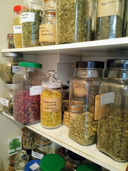Zoomies Mushroom Dispensary | Shrooms Delivery