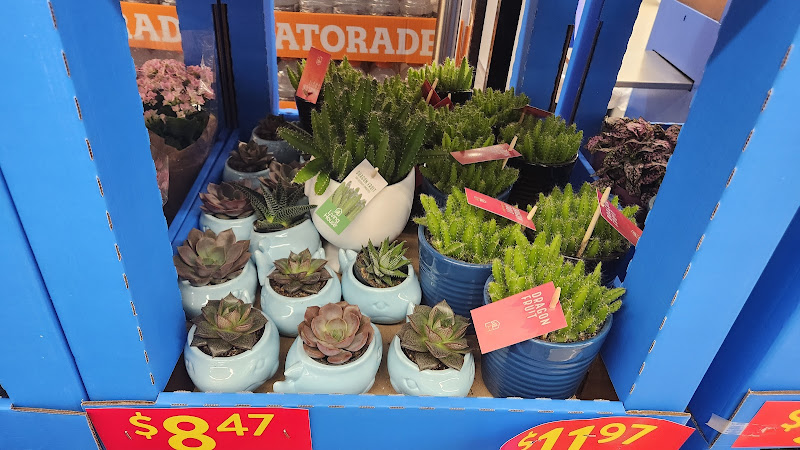 Walmart Garden Centre