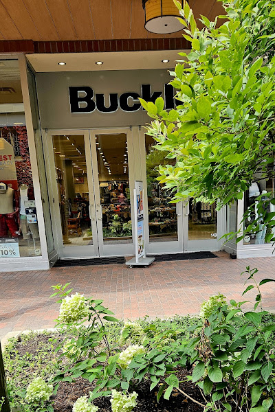 Buckle