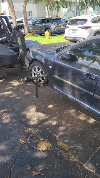 Pineisland Junk Cars Co LLC
