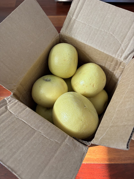 Arizona Orange Company