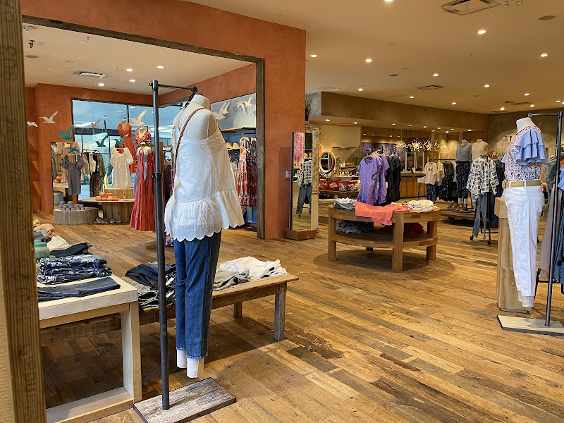 Anthropologie