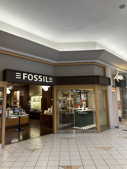 Fossil Store